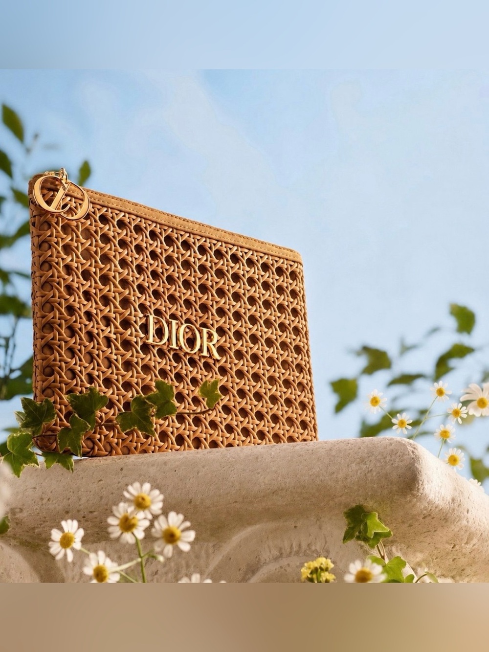 Dior beauty raffia woven pouch with box